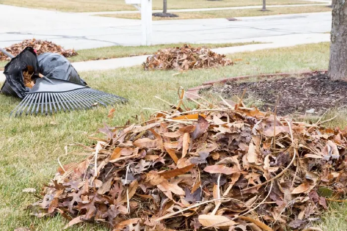 Yard Waste Removal
