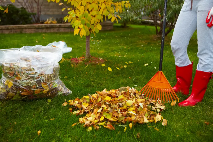 Excellent Yard Waste Removal Miami, FL