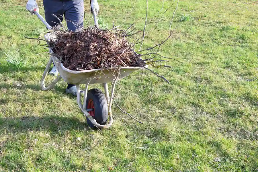How Yard Waste Removal Helps Landscaping Plans Miami, FL