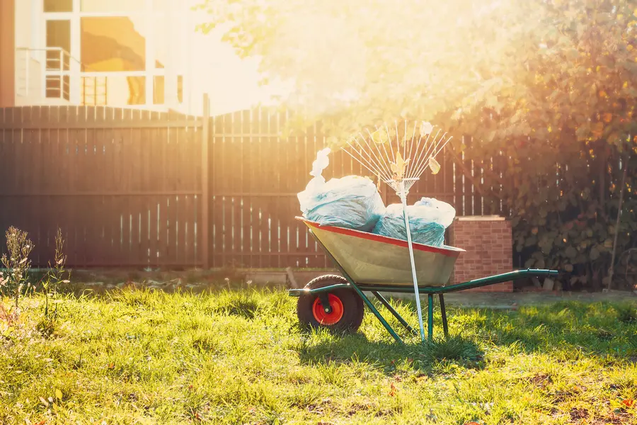 How Yard Waste Removal Helps Landscaping Plans in Miami, FL