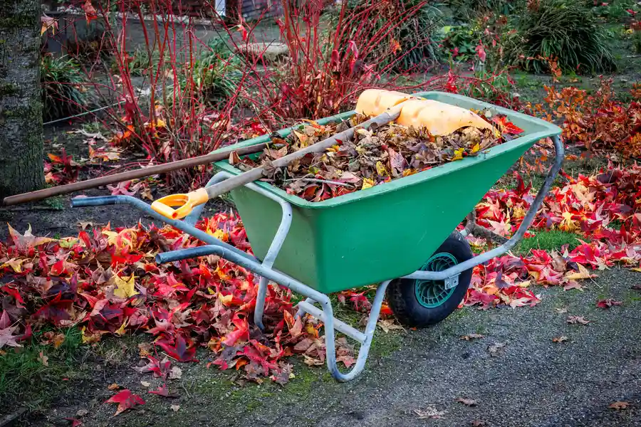 The Importance Of Proper Yard Waste Removal Miami, FL
